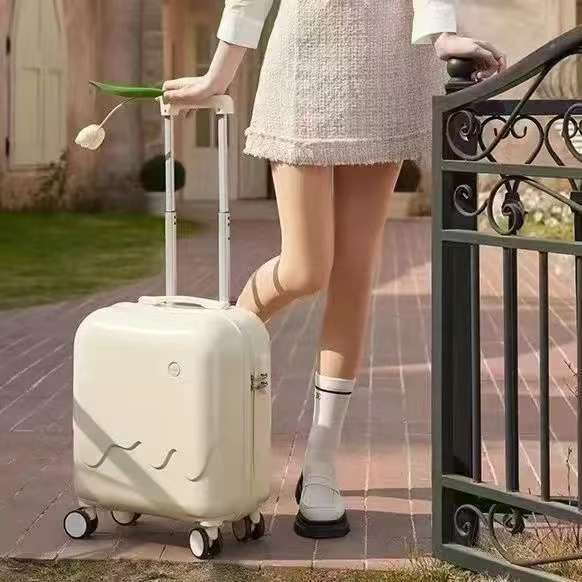 Wholesale multiple-functions icecream design boarding luggage