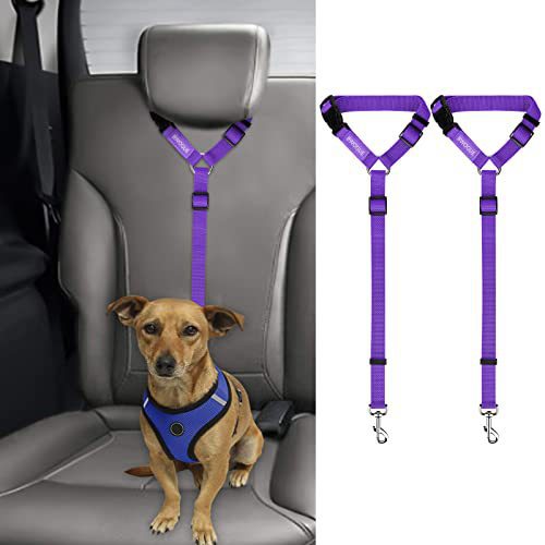 Custom pet supplies dog traction rope pet car seat belt dog walking rope